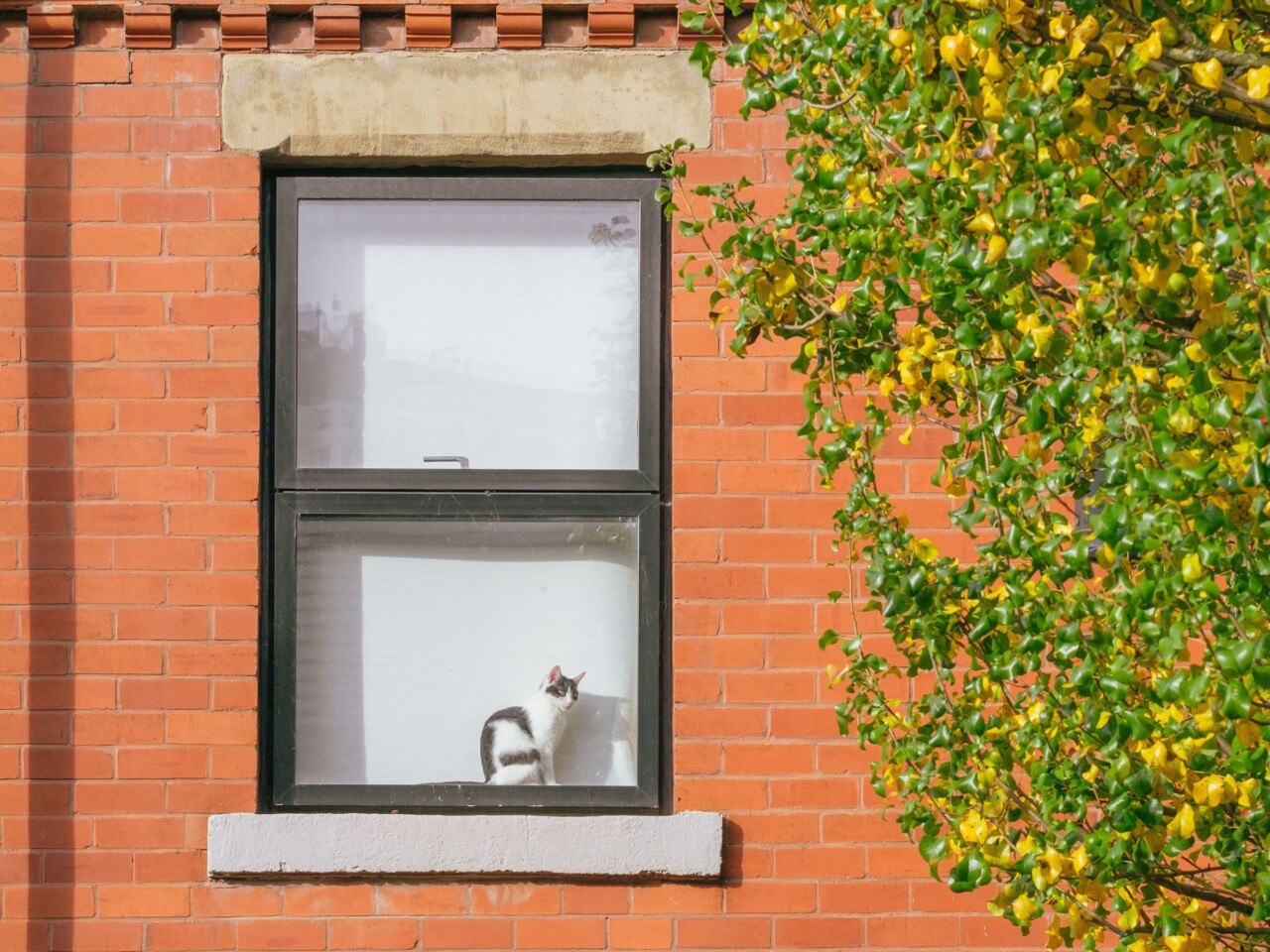 Chimney Pot Park, Salford Urban Splash