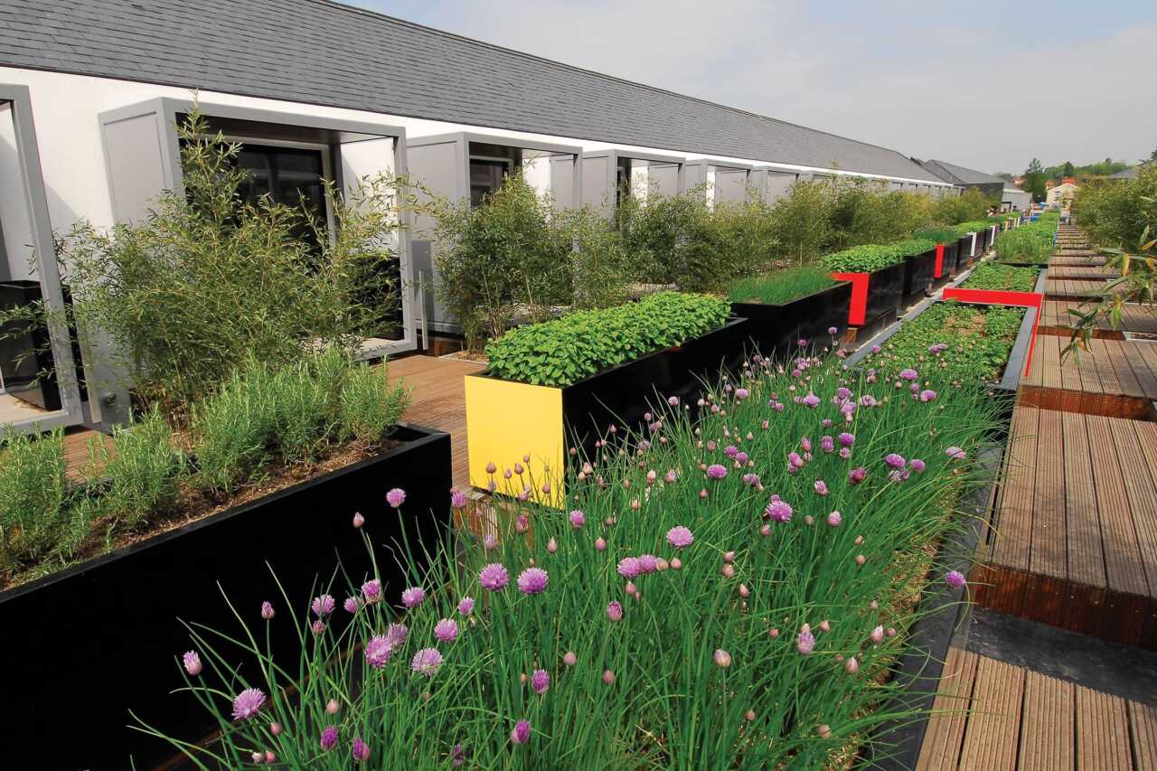 Chimney Pot Park, Salford Urban Splash